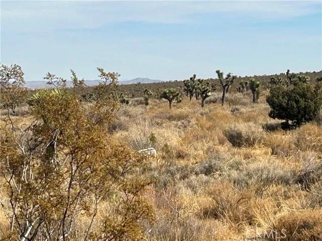 0 X8 Vac Corner Ave#drt, Llano Ca 93544 | Unimproved Land 27