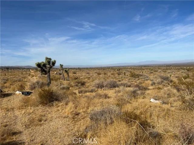 0 X8 Vac Corner Ave#drt, Llano Ca 93544 | Unimproved Land 23