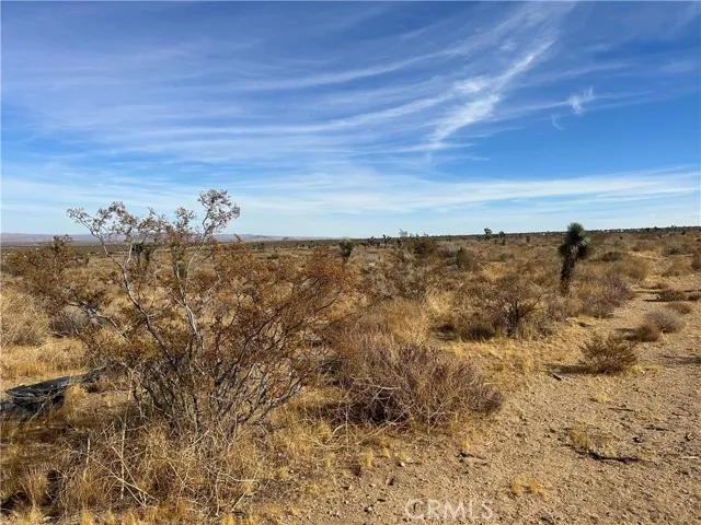 0 X8 Vac Corner Ave#drt, Llano Ca 93544 | Unimproved Land 22