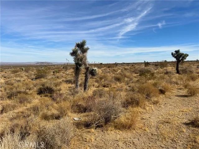 0 X8 Vac Corner Ave#drt, Llano Ca 93544 | Unimproved Land 20