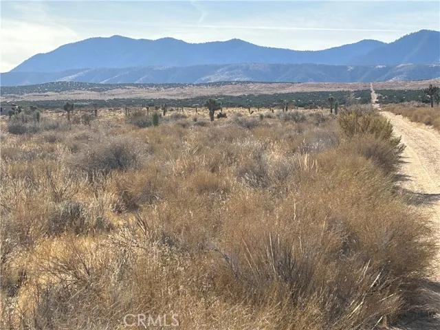 0 X8 Vac Corner Ave#drt, Llano Ca 93544 | Unimproved Land 12