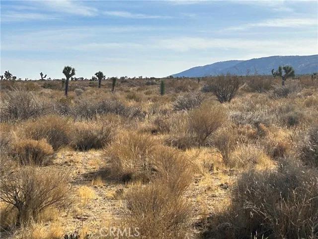 0 X8 Vac Corner Ave#drt, Llano Ca 93544 | Unimproved Land 8