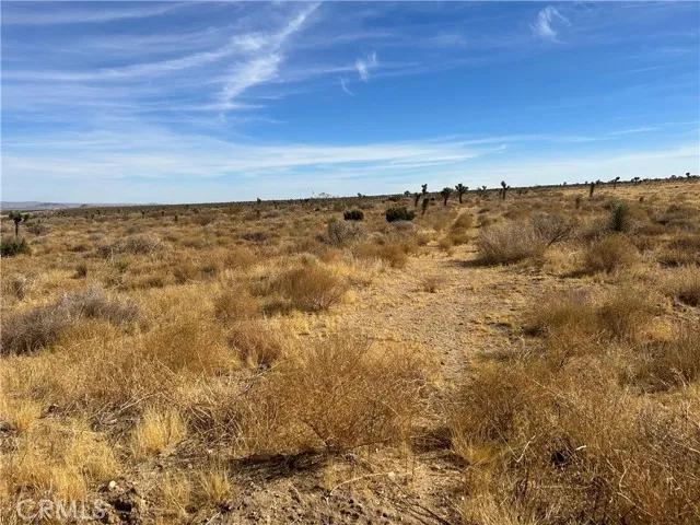 0 X8 Vac Corner Ave#drt, Llano Ca 93544 | Unimproved Land 15