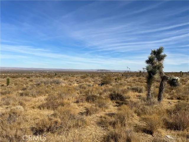 0 X8 Vac Corner Ave#drt, Llano Ca 93544 | Unimproved Land 5