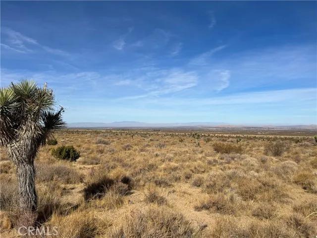 0 X8 Vac Corner Ave#drt, Llano Ca 93544 | Unimproved Land 6