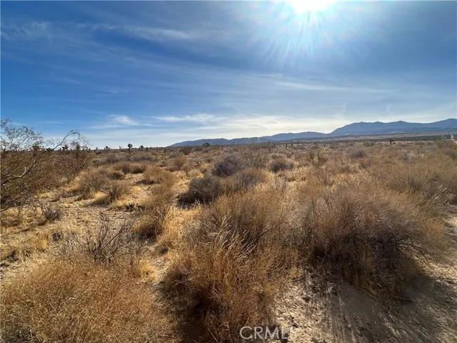 0 X8 Vac Corner Ave#drt, Llano Ca 93544 | Unimproved Land 7