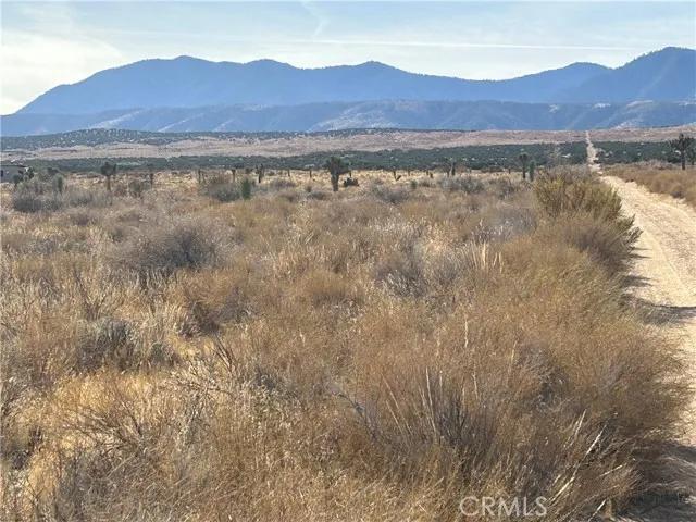 0 X8 Vac Corner Ave#drt, Llano Ca 93544 | Unimproved Land 9