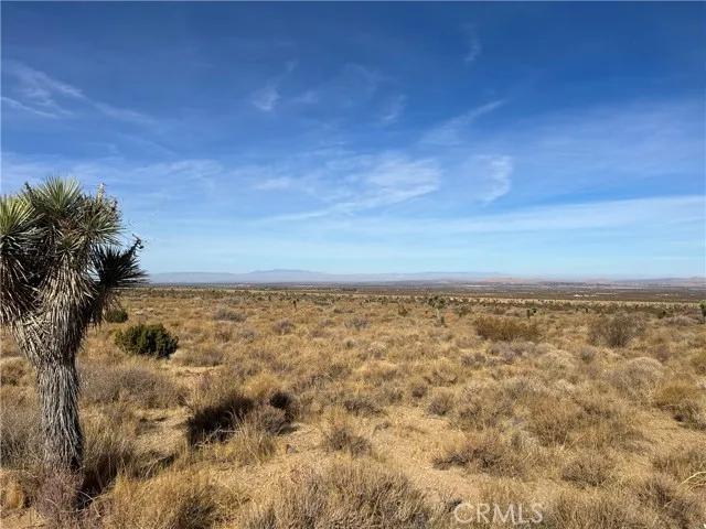 0 X8 Vac Corner Ave#drt, Llano Ca 93544 | Unimproved Land 30