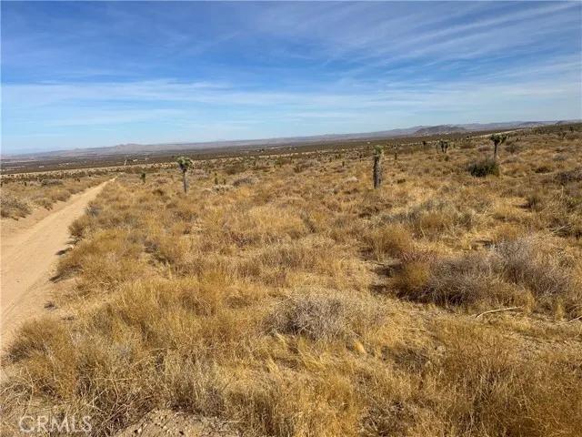 0 X8 Vac Corner Ave#drt, Llano Ca 93544 | Unimproved Land 17