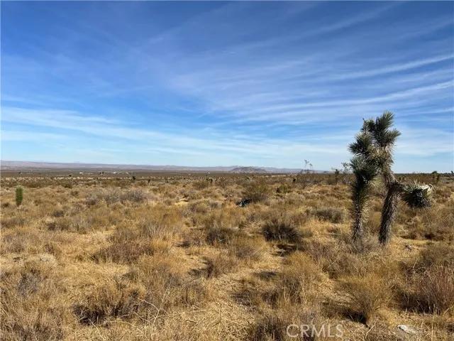 0 X8 Vac Corner Ave#drt, Llano Ca 93544 | Unimproved Land 29