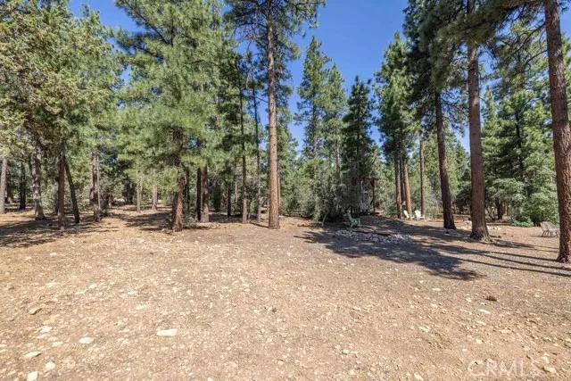 1021 Heritage Trail, Big Bear City Ca 92314 | Detached 44