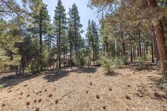 1021 Heritage Trail, Big Bear City Ca 92314 | Detached 45