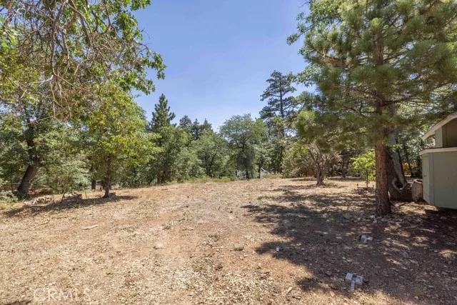 1254 S Sheephorn Road, Big Bear City Ca 92314 | Detached 37