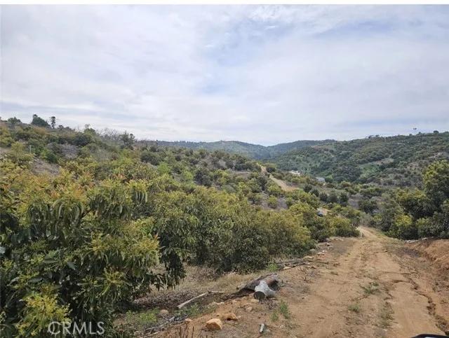 10438 Couser, Bonsall CA 92003 | Unimproved Land 5