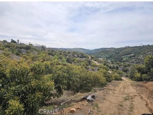 10438 Couser, Bonsall CA 92003 | Unimproved Land 3