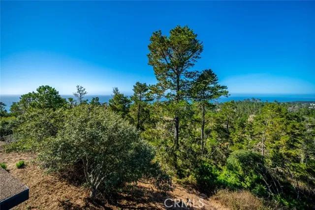 900 Pineridge Drive, Cambria Ca 93428 | Detached 18