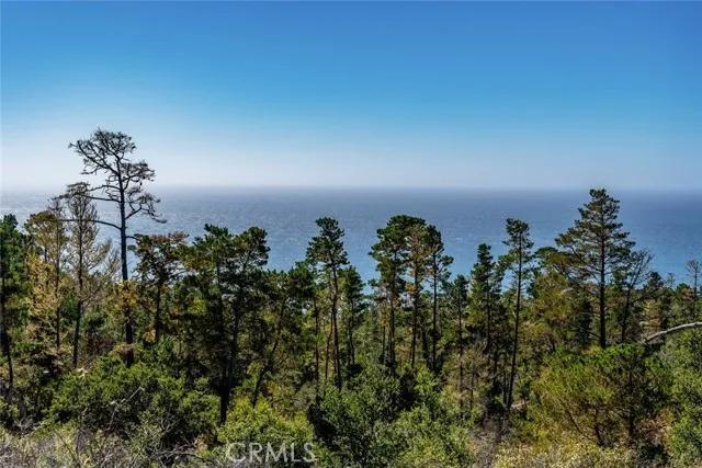 900 Pineridge Drive, Cambria Ca 93428 | Detached 31