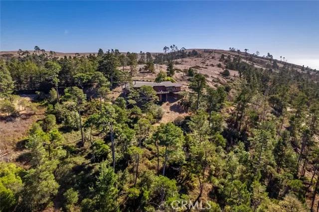 900 Pineridge Drive, Cambria Ca 93428 | Detached 69