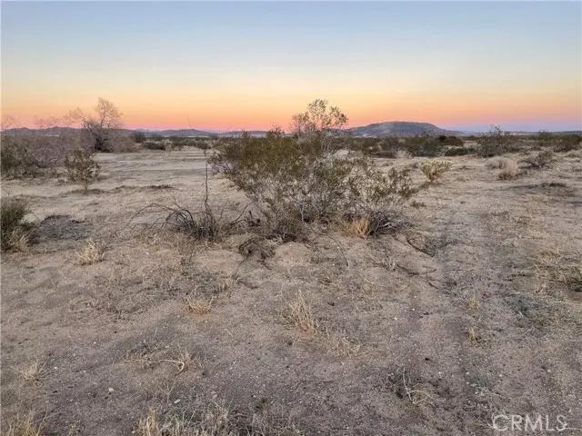 6186 Delaware, Joshua Tree Ca 92252 | Unimproved Land 2