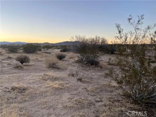 6186 Delaware, Joshua Tree Ca 92252 | Unimproved Land 3