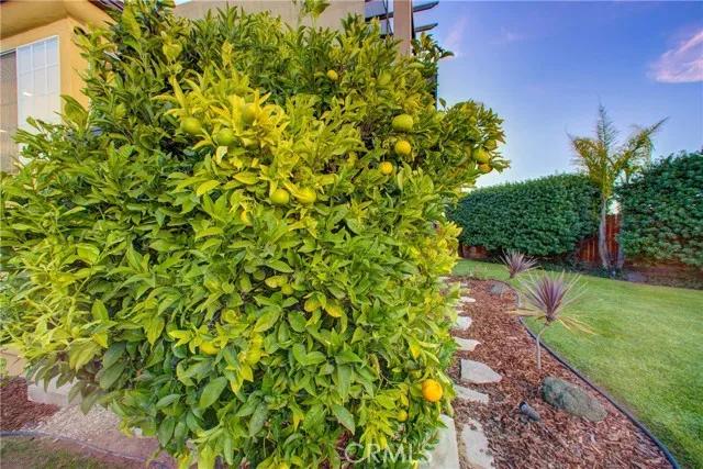 1194 Monaco Court, Grover Beach Ca 93433 | Detached 48