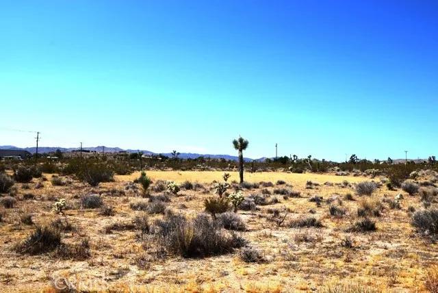 92284-Yucca Valley