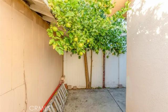 1207 Winchester Avenue, Glendale Ca 91201 | Detached 32