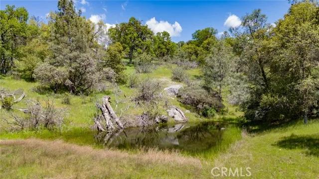 4872 Hirsch, Mariposa Ca 95338 | Unimproved Land 10