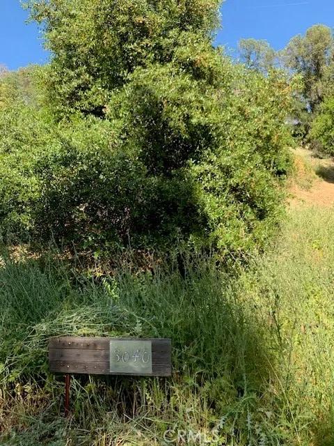 3050 State, Lucerne Ca 95458 | Unimproved Land 5