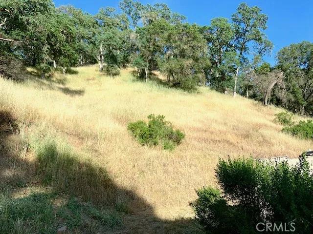 3050 State, Lucerne Ca 95458 | Unimproved Land 8