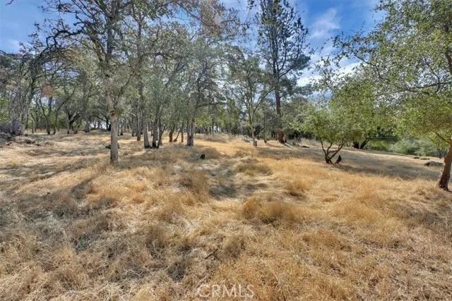 2050 Pleasant Grove Lane, Marysville Ca 95901 | Detached 35