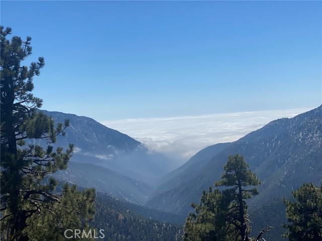 800 Swarthout Canyon/state Hwy 2 Road, Wrightwood CA 92397 | Detached 59