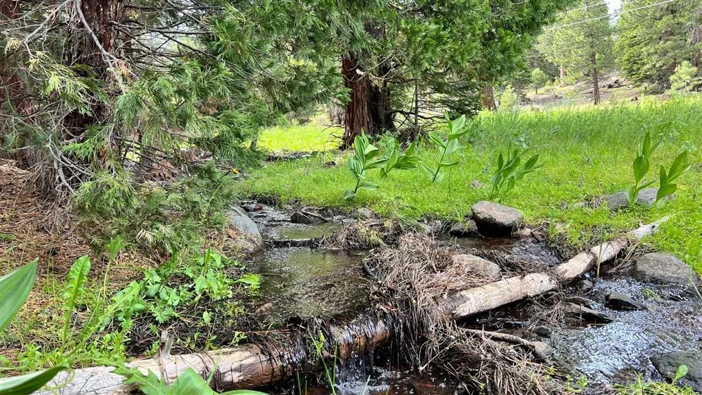 0 California Pines, Alturas Ca 96101 | Unimproved Land 5