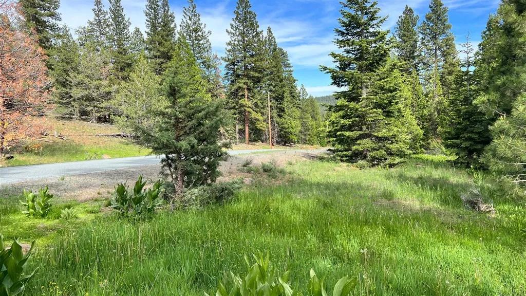 0 California Pines, Alturas Ca 96101 | Unimproved Land 4