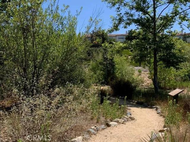 6 Cherokee Street, Trabuco Canyon Ca 92679 | Detached 39