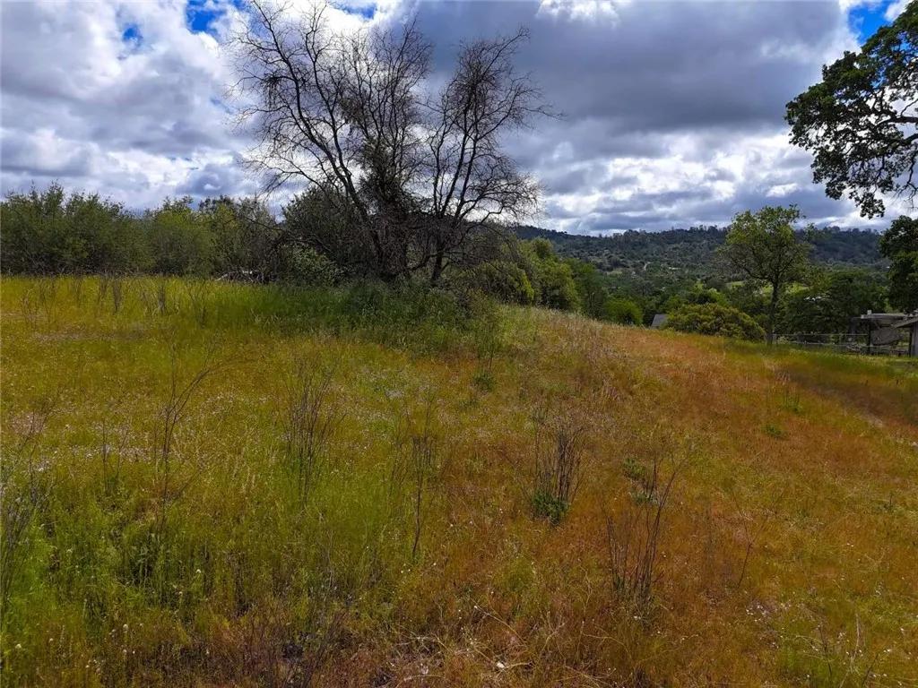 30545 N Dome, Coarsegold Ca 93614 | Unimproved Land 3