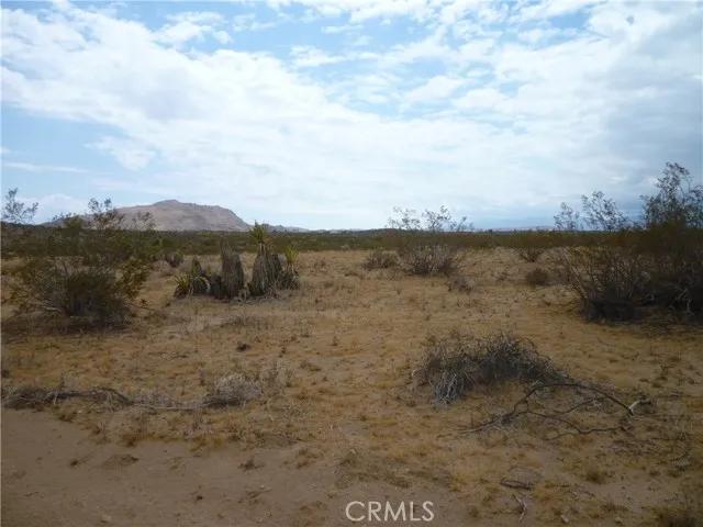 62397 Sunny Sands, Joshua Tree Ca 92252 | Unimproved Land 1