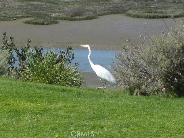 2208 Vista Dorado, Newport Beach Ca 92660 | All Other Attached 39