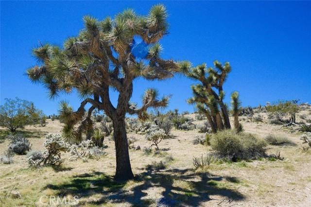 10 Hacienda, Yucca Valley CA 92284 | Unimproved Land 6