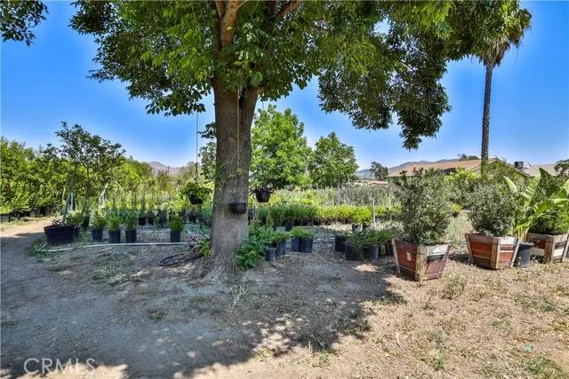 3999 Sierra Avenue, Norco Ca 92860 | Detached 36