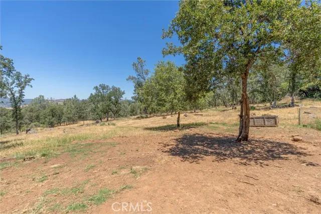 395 Hillcrest Avenue, Oroville Ca 95966 | Detached 40