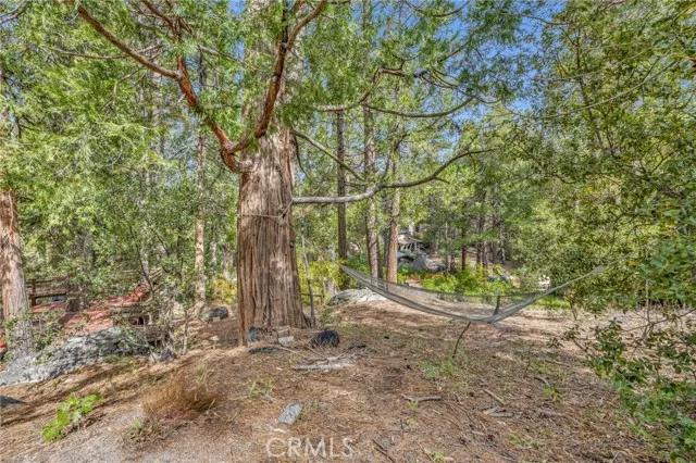 52555 Idyllmont Road, Idyllwild Ca 92549 | Detached 15