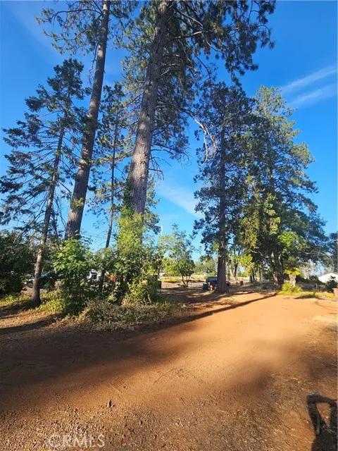 554 Bille, Paradise Ca 95969 | Unimproved Land 4