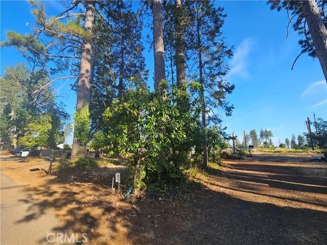 554 Bille, Paradise Ca 95969 | Unimproved Land 0