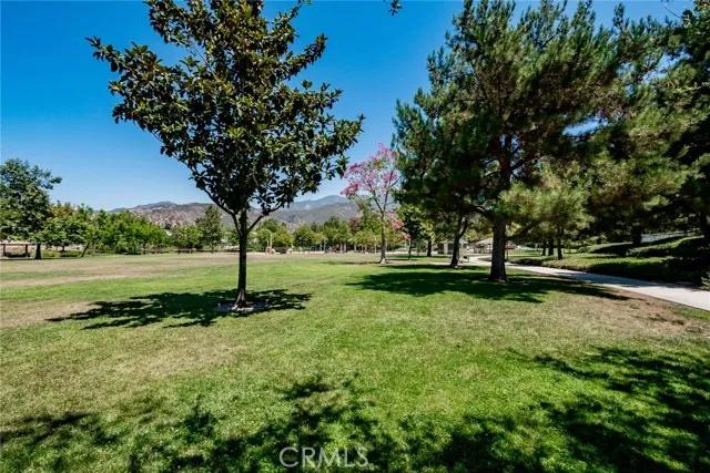 19551 Dorado Drive, Trabuco Canyon Ca 92679 | All Other Attached 59