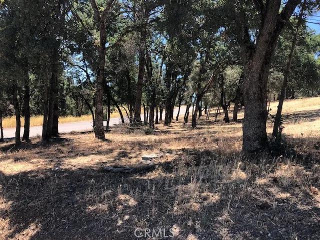 4474 Pine, Clearlake Ca 95422 | Unimproved Land 5