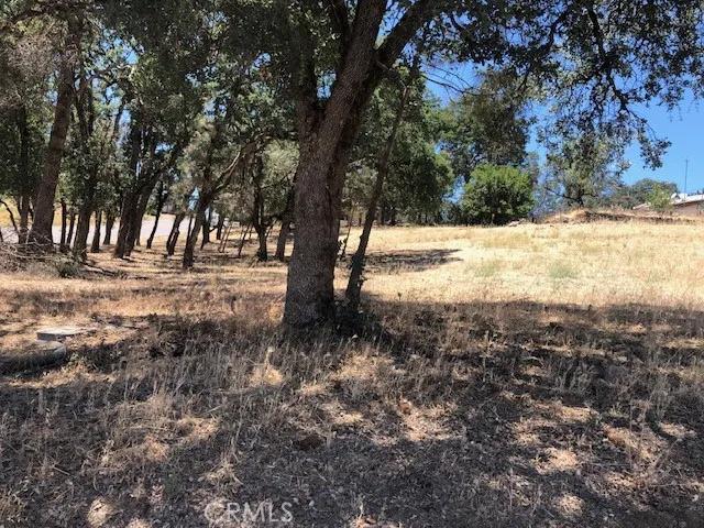 4474 Pine, Clearlake Ca 95422 | Unimproved Land 3