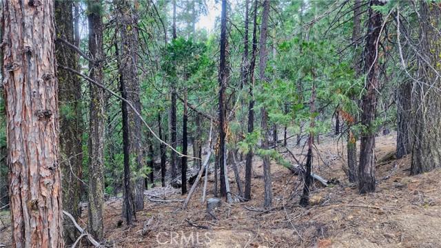 0 Mill Creek Road, Yreka CA 96097 | Unimproved Land 5