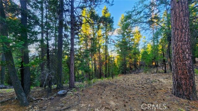 0 Mill Creek Road, Yreka CA 96097 | Unimproved Land 7