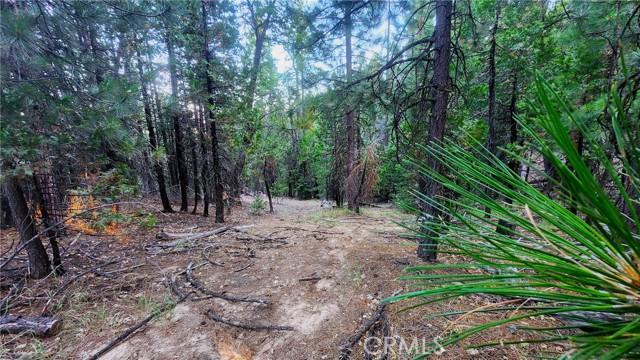 0 Mill Creek Road, Yreka CA 96097 | Unimproved Land 3